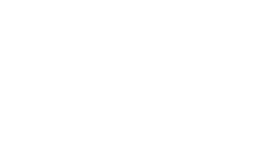 logo roomming blanco